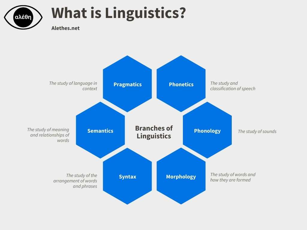 a linguist studies